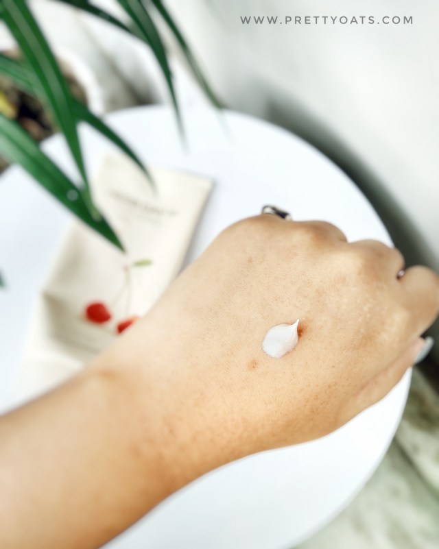 HerbDay365CleanserTexture[1]